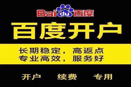 竞价广告的技巧与策略：网络推广的经典案例分享